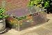 ALUMINIUM COLD FRAME WITH POLYCARBONATE GLAZING/ PLANTS