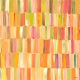 IMAGE OF Greenbox Art + Culture Popsicle Sticks In Oranges Stretched Canvas Wall Art by James Dickerson, 24 by 24-Inch