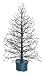 3' Black Fiber Optic Lighted Twig Christmas Tree