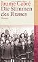 Die Stimmen des Flusses: Roman (suhrkamp taschenbuch)