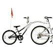 WeeRide Co-Pilot Bike Trailer