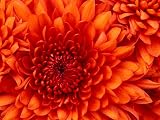 Test_ASIN_F asin