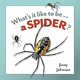 What's it like to be... a spider?