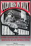 Cultures in Flux: Lower-Class Values, Practices, and Resistance in Late Imperial Russia