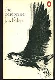 The peregrine