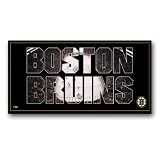 NHL Boston Bruins Artissimo Team Pride 36x12 Canvas Art