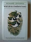 Wild life in a Southern county