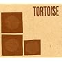 Tortoise