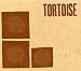 Tortoise