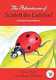 The adventures of Scarlett the ladybird