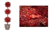 5' Pre-lit Red Tinsel Triple Ball Potted Topiary Tree - Red Lights