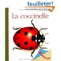 La coccinelle