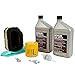 Kohler 32 789 01-S Engine Maintenance Kit