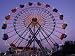 People Ride an Upsidedown Ferris Wheel in Wildwood, New Jersey Photographic Poster Print by Richard Nowitz, 12x16