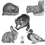 Maple Leaf Press Inc. NFAA Official Animal Paper Targets