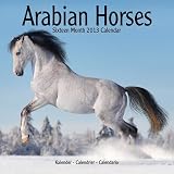 Arabian Horses 2013 Wall Calendar #30123-13