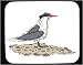 Mouse Pad with herring, beach, seabird, gull, bird