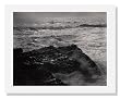 Edward Weston, Point Lobos
