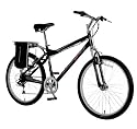 Currie Technologies eZip Men's Trailz Electric Bicycle