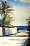 Hand Made Oil Reproduction - Winslow Homer - 24 x 36 inches - Road in Nassau (aka No.1 Nassau Str...