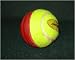 UPFRONT 1 SwingBall Training Cricket practice ball