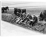 Canvas Prints of Ploughmans Lunch from Mary Evans