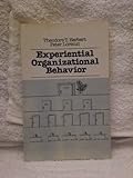 Experiential organizational behavior