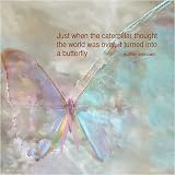 Hope Butterfly 1