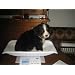 Baby Liste