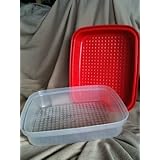 Tupperware Season Serve in Chili Red