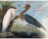 John James Audubon the Watercolors for the Birds of America 2010 Calendar: New-york Historical Society