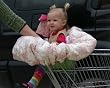Pink Toile Shopping Cart Cover