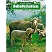 Nach dem gro�en Knall: Leben ohne Zivilisation