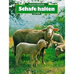 Schafe halten