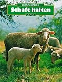Schafe halten