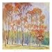 Tree Grouping II - Elliot Art Print Poster 28 x 28