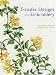 Books : Transfer Designs for Embroidery