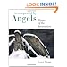 Accompanied by Angels: Poems of the Incarnation