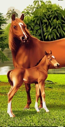 Horse Colt Towel Wonder Beach Towel 2008