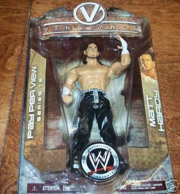Childrens Toyshop  Toys : WWE Pay Per View 16 Vengeance Matt Hardy Figure