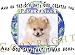 pomeranian6 - Pomeranian Mouse Pad Dog Mousepad Creation