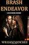 Brash Endeavor: A Stan Turner Mystery (Stan Turner Mysteries)