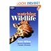 Lonely Planet Watching Wildlife East Africa