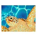 Sparkling Caribbean Outdoor Wall Art by Daniel Jean-Baptiste - 19x26"