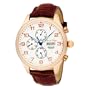 Pere de Temps Unisex 3018 Nouveau Classic Automatic Mechanical WatchStainless Steel Rose Gold Overlay