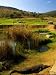 Crocodile at the 13th Hole of the Lost City Golf Course, Sun City, South Africa Photographic Poster Print by Roger De La Harpe, 12x16