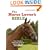 The Horse Lover's Bible: The Complete Practical Guide to Horse Care and Management