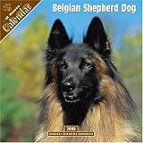 Belgian Shepherd Dog 2008 Wall Calendar