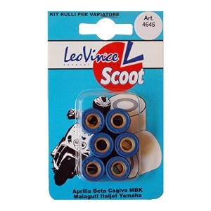 LeoVince Part# 4647P79 6 weights 17mm X 13.5mm for 50cc scooter centrifugal clutch (7.9 gram)