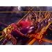 Product Video: Clip: Rollercoaster